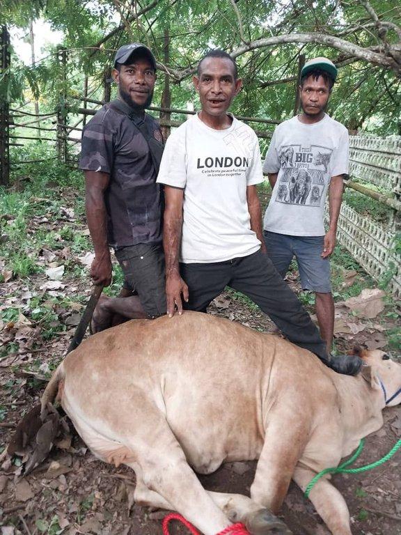 Qurban Impact Hadirkan Kebahagiaan Iduladha Mualaf Papua Nugini  - Cover Image